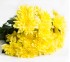 Хризантема Baltika Yellow